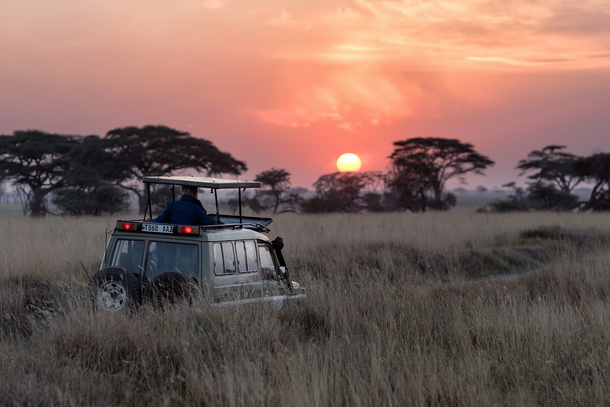 Southern Wildlife Safari — Sri Lanka, Sri Lanka