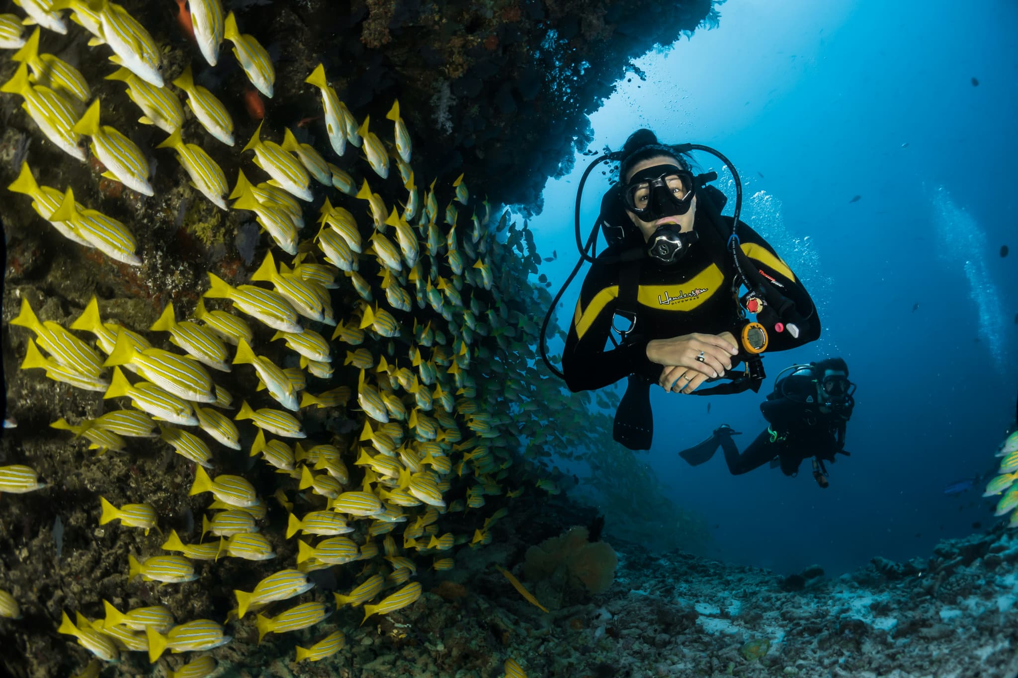 Maldives Dive Safari — Maldives, Maldives