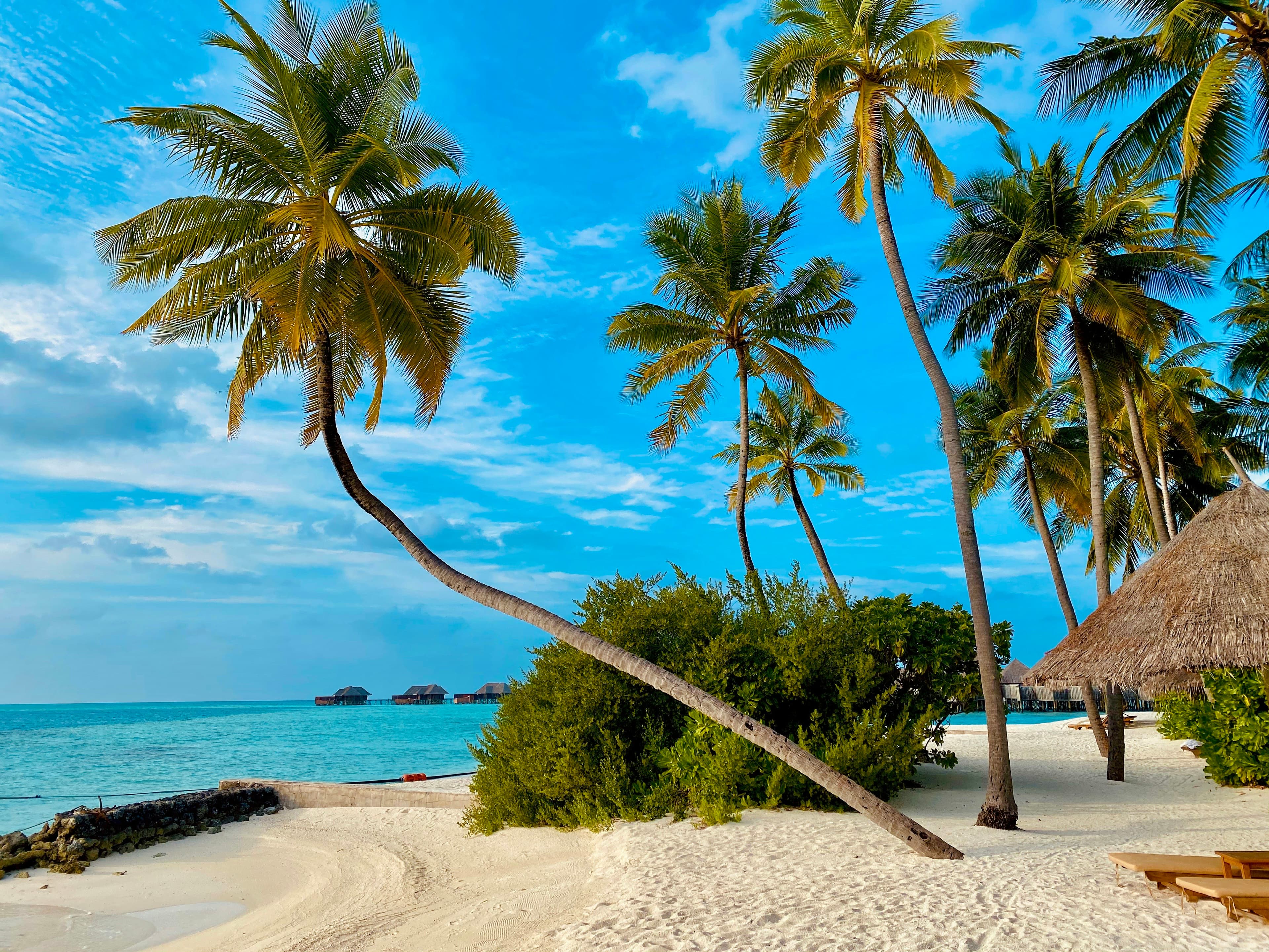 Southern Coastal Escape — Sri Lanka, Sri Lanka